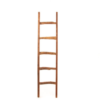 Zenporium Artek Ladder (1)