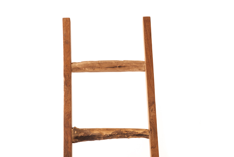 Zenporium Artek Ladder (4)