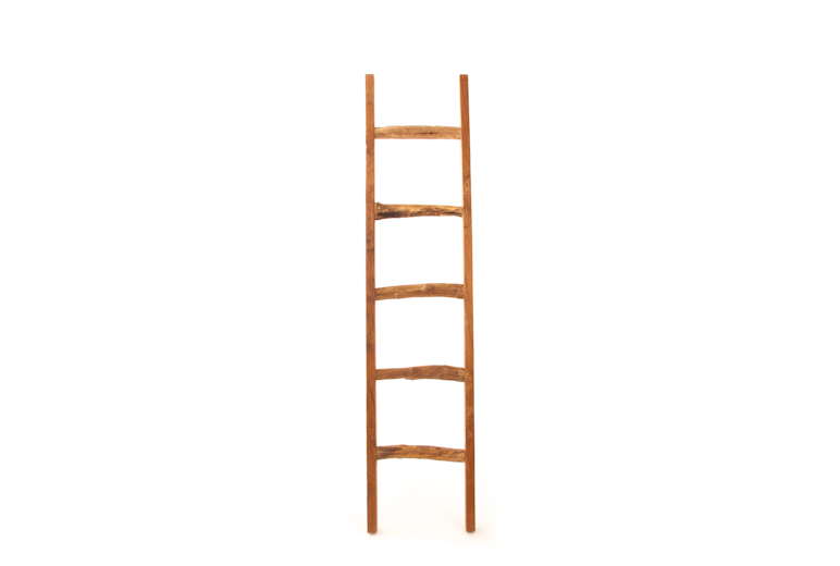 Zenporium Artek Ladder (7)