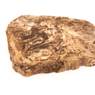 Zenporium Petrified Wood Slab PSL015 (1)