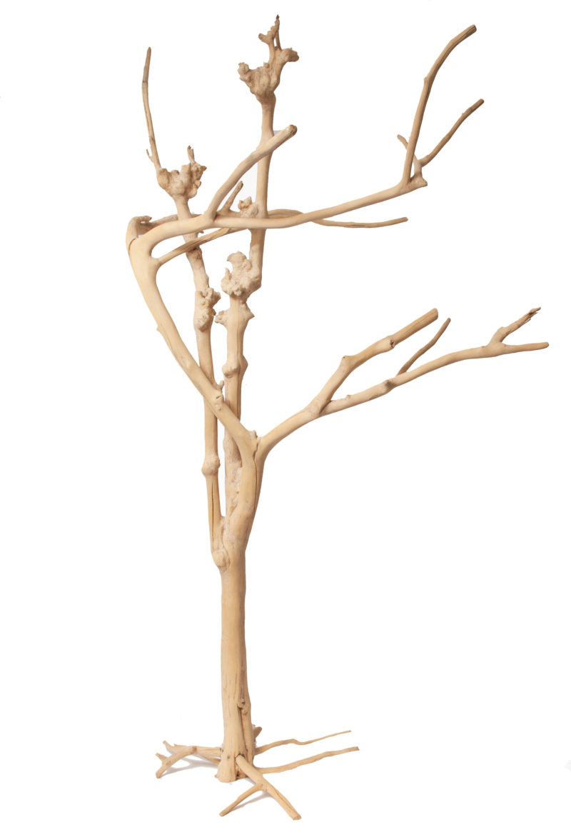 Zenporium Coffee Tree Sculpture 031