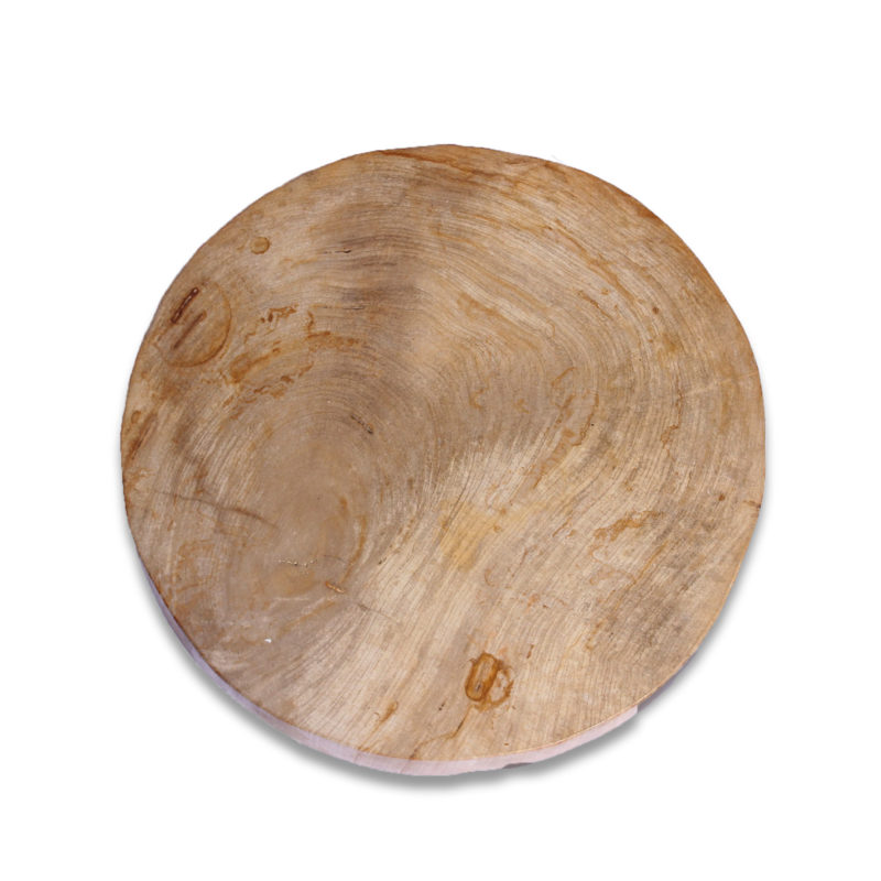 Petrified Wood Slab PSL021 (2)