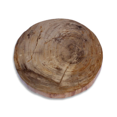 Petrified Wood Slab PSL023 (3)