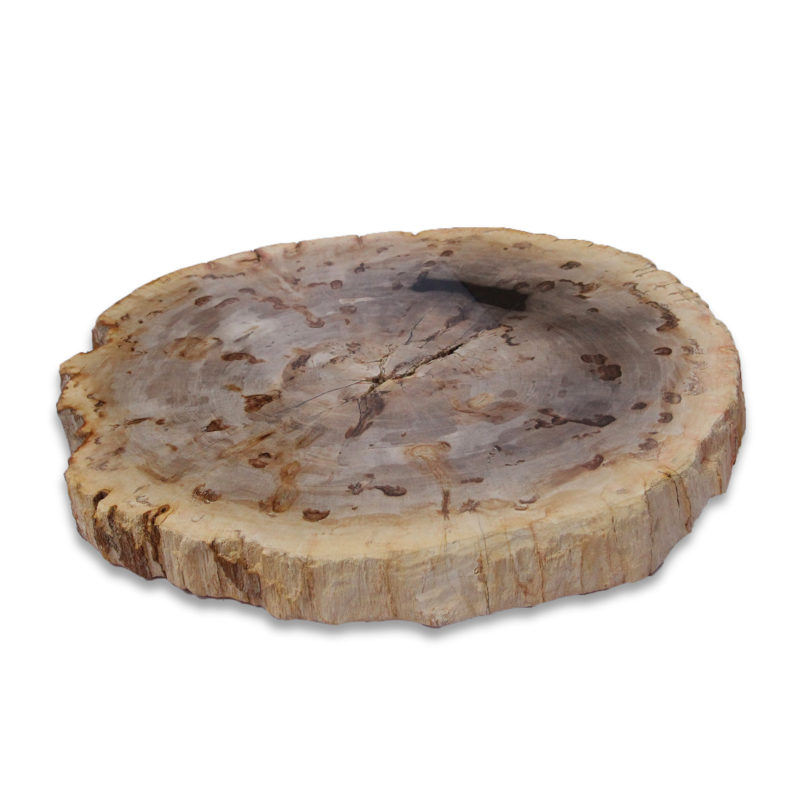 Zenporium Petrified Wood Slab PSL036 (1)