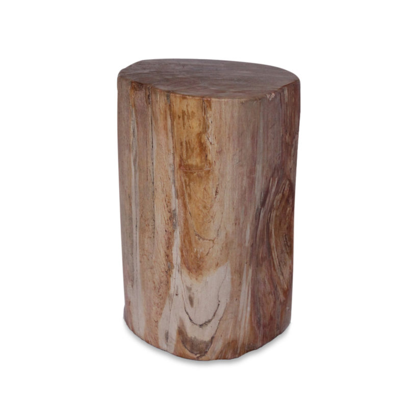 Zenporium Petrified Wood Stump PST027 (2)