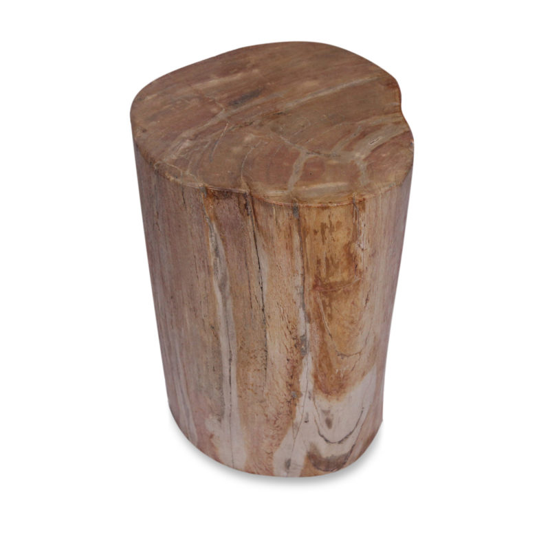 Zenporium Petrified Wood Stump PST027 - top